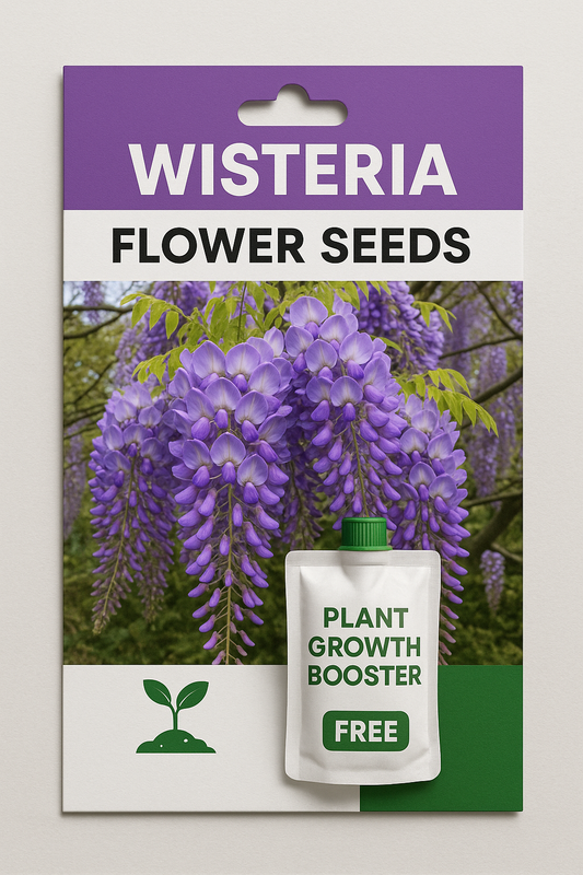 Wisteria Flower Seeds - Nature's Purple Elegance Fragrant, Quick-Growing 🌱