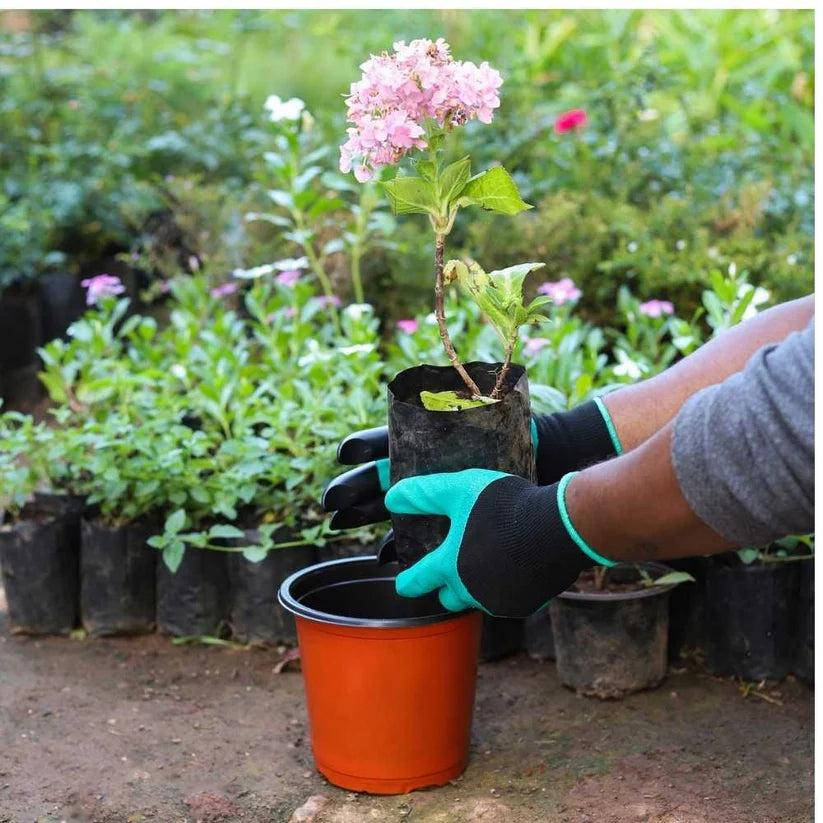 BloomClaw™ Gardening Gloves